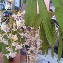 ���� Natali, ������ - ��������� 23 ������� 2014 � ������ ����� ������ � �������!!!!�