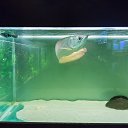  , , 46  -  24  2014      &quot; &quot;