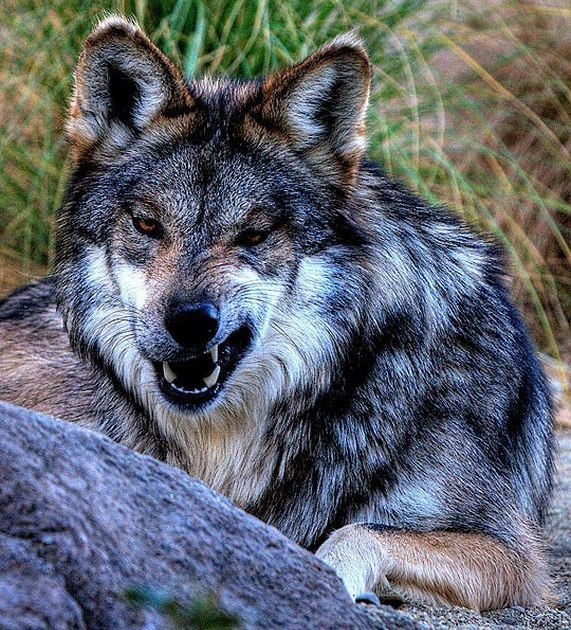 � ���� �������� - 16 ������� 2014 � 17:00