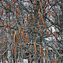 ���� ������� �., ����� - ��������� 5 ������ 2014 � ������ ������