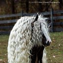 ���� ������ �������, ������, 64 ���� - ��������� 2 ���� 2014 � ������ ���� ����������