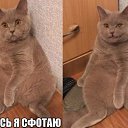 ���� Anna, �����-���������, 48 ��� - ��������� 1 ��� 2014 � ������ ������ ��������