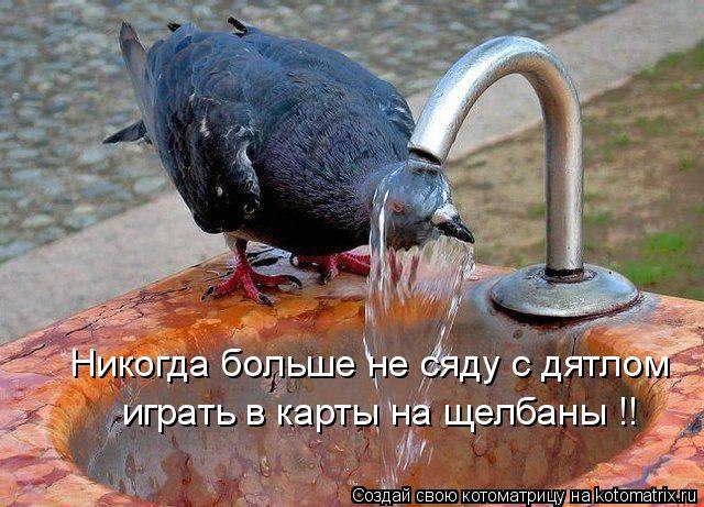 Marina - 16  2014  10:25