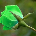  Tatjana, , 61  -  24  2014    