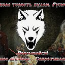 ���� �����., �����������, 46 ��� - ��������� 8 ������ 2014 � ������ ���� ����������