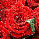 ���� �����, �����-���������, 48 ��� - ��������� 1 ������ 2014 � ������ ���� ����������