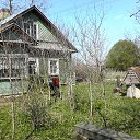 ���� ������, �����-���������, 85 ��� - ��������� 22 ���� 2014 � ������ ������. ��� ��� � �������