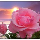   ,  -  25  2014    !!!