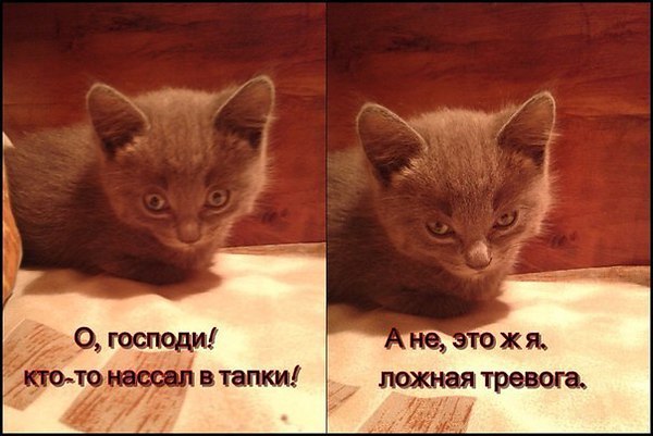   :3 - 5  2014  14:31