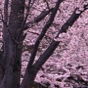 ���� �������, ������������, 58 ��� - ��������� 28 ������ 2014 � ������ ���� ����������