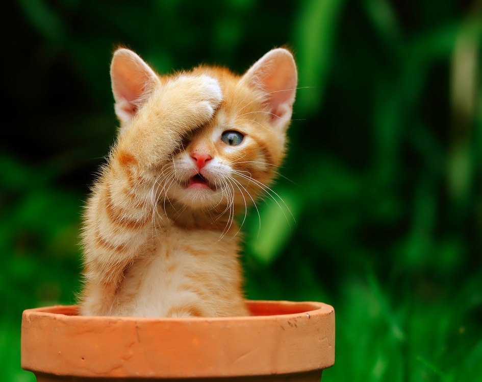 k m m km? - g  m g - u,  mk - uk..=)