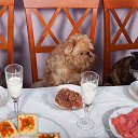 ���� Alexander, �����-���������, 70 ��� - ��������� 5 ������ 2014 � ������ ������ ��������