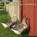 ���� �����, ������, 46 ��� - ��������� 8 ���� 2014 � ������ ������ ��������