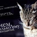 ���� �������, ������ - ��������� 21 ��� 2014 � ������ ������ ��������