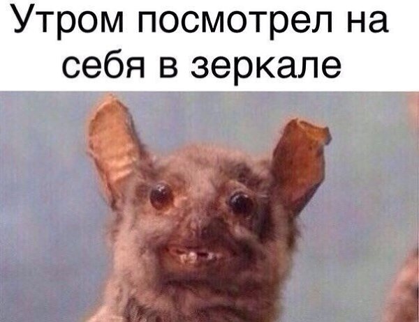    :D - 19  2014  04:03