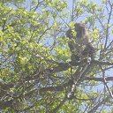 ���� ��������, ������������, 62 ���� - ��������� 25 ���� 2014 � ������ ���� ����������