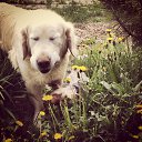 ���� ��������, ������, 31 ��� - ��������� 27 ���� 2014 � ������ ������ ��������