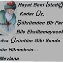  Ali, , 61  -  2  2014    