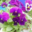  ,  -  26  2014     .