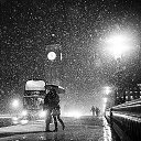 ���� ���������, ������ ��������, 43 ���� - ��������� 16 ��� 2014 � ������ ������ ��������