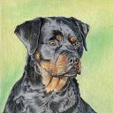 ���� ������ ������!, ������, 48 ��� - ��������� 17 ������ 2014