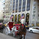 �������� ����� ����������� �� ������� ���� ����������