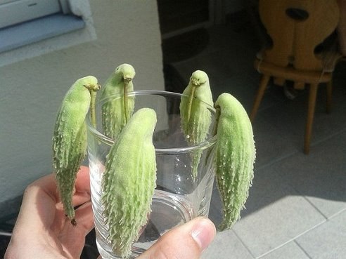   ,    