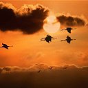 ���� �����, �����������-��-����� - ��������� 9 ��� 2014 � ������ ������ ��������