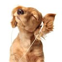 ���� �������, ��������� - ��������� 4 ������ 2014