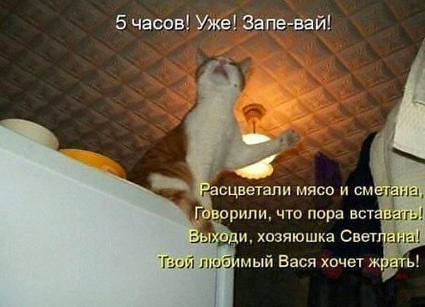 ...[a]_voe_so Le... - 23  2014  08:39