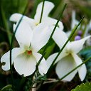 ���� �����, �����, 64 ���� - ��������� 24 ������ 2014 � ������ ������ � �����!�