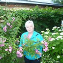 ���� ������, ����, 75 ��� - ��������� 2 ���� 2014 � ������ ���� ����������