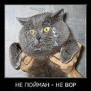 ���� �����-�, �����, 32 ���� - ��������� 23 ����� 2014 � ������ ���� ����������