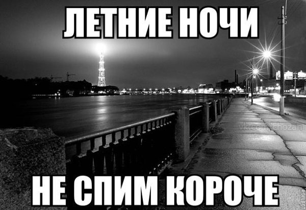 No Name Alex® - 9  2014  08:24