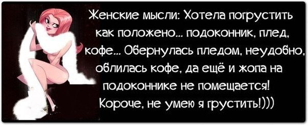 (  ,   - 8  2014  11:33