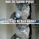 ���� Dianka, �������, 36 ��� - ��������� 12 ��� 2014 � ������ ������ ��������