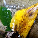 ���� Vikecha, ������ - ��������� 1 ���� 2014 � ������ ������� ������,���� �������(�������),����������� �-���