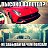 ���� ����, ������, 36 ��� - ��������� 20 ��� 2014