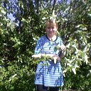 ���� ��������, �����-��������� - ��������� 20 ��� 2014 � ������ ���� ����������