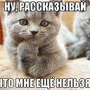 ���� Tolikrostov, ������-��-����, 31 ��� - ��������� 10 ���� 2014 � ������ ������ ��������