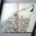 Alex, - -  16  2014   Cool Stuff