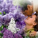 ���� ��������, ���������, 67 ��� - ��������� 30 ����� 2014 � ������ ������ ��������