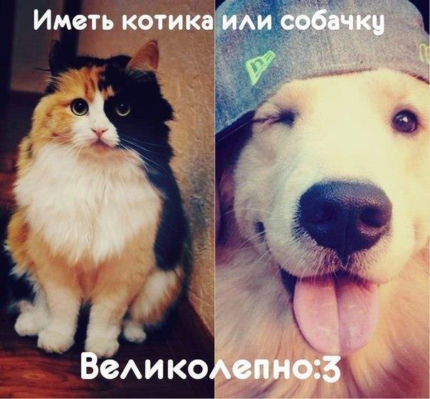   - 29  2014  20:57
