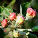 ���� �����, �����, 64 ���� - ��������� 4 ��� 2014 � ������ ������ � �����!�