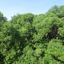 ���� �����, ������, 44 ���� - ��������� 2 ���� 2014 � ������ ������������ ����� � ��������� ����������