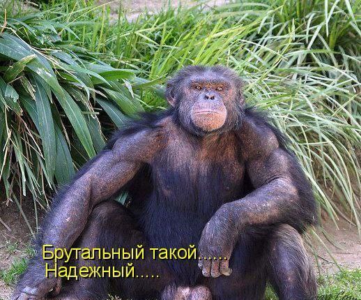   - 2  2014  12:06