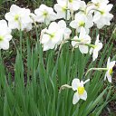 ���� �������, ������ - ��������� 29 ���� 2014 � ������ ��������.�