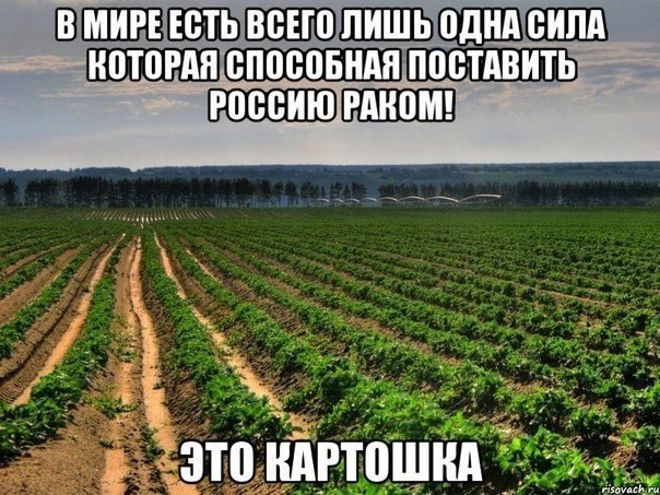   - 21  2014  12:24