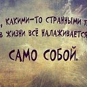 ���� ������, �����-���������, 48 ��� - ��������� 10 ������ 2014 � ������ ������ ��������