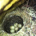  , --, 52  -  18  2014     2014